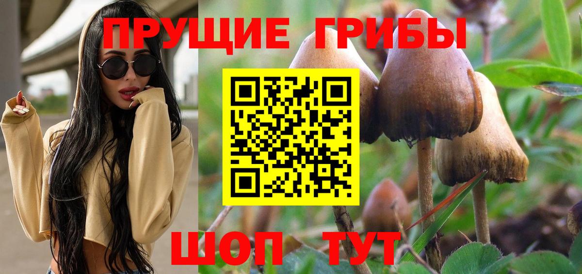 купить  цена  Галлюциногенные грибы Psilocybine cubensis  Вход с VPN  Нижний Тагил 